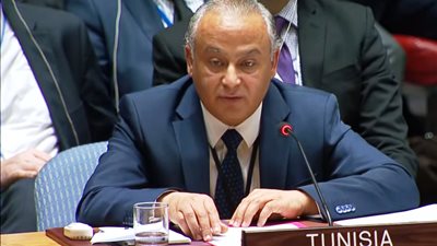 مندوب تونس بمجلس الأمن: لابد من اتفاق على استغلال موارد النيل دون إضرار بحقوق مصر والسودان