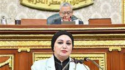 وكيل القوى العاملة بالنواب: ما تقوم به الدولة المصرية من زيادة المعاشات يمثل العدالة الاجتماعية الحقيقية