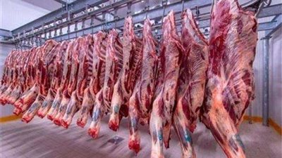 النقيب العام للجزارين: انخفاض أسعار اللحوم الكندوز بنسبة 5%