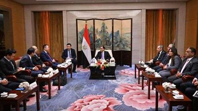 مدبولي يستقبل رئيس ومسئولي شركة 