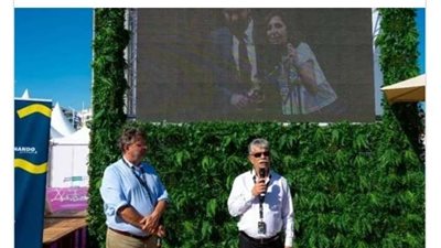 الجونة السينمائي يدعم ملتقى المهرجانات (تفاصيل)