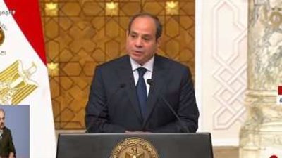 السيسي: مصر لن تتحمل ما تسعى له إسرائيل