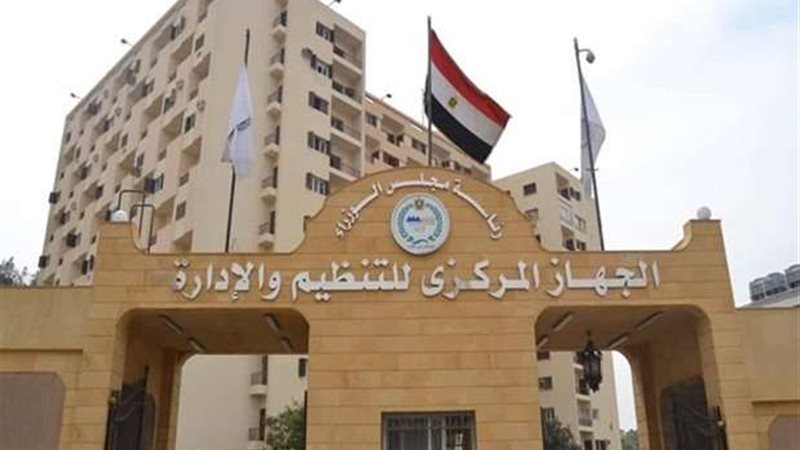 التنظيم و الادارة