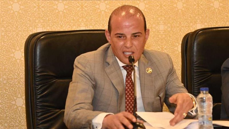 النائب عمرو القطامي