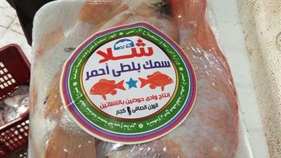 11 يوليو.. أسعار الأسماك اليوم في سوق العبور