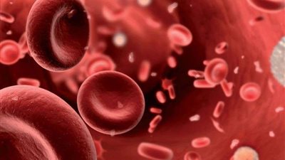 كل ما تريد معرفته عن مرض فقر الدم وطرق الوقاية منه