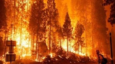 مقتل شخص وإصابة 18 آخرين في حريق غابات بروسيا