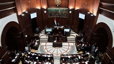 عضوة بالشيوخ تكشف اسباب تقدمها بمقترح “ الكشف النفسي على المقبلين على الزواج”