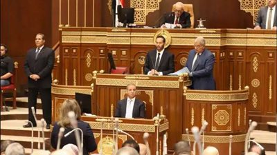 مجلس الشيوخ يعلن تأييده ودعمه للرئيس  السيسي في كل ما يتخذه من إجراءات لحماية الأمن القومي المصري