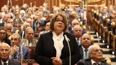 وكيل مجلس الشيوخ : ما يجري على أرض غزة من عدوان وحشي يكاد لا يكون له نظير في تاريخ الحروب الحديثة