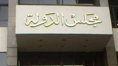 مجلس الدولة يندد بالجرائم الإسرائيلية في قطاع غزة ويؤيد الرئيس السيسي