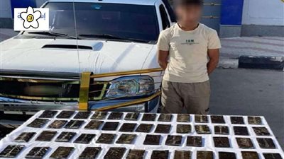 حبس مُسجل خطر للاتجار في مخدر الحشيش بالمنوفية