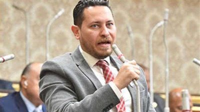 خاص| مقرر مساعد لجنة المحليات بالحوار الوطني: القضية الفلسطينية من أولويات الدولة المصرية