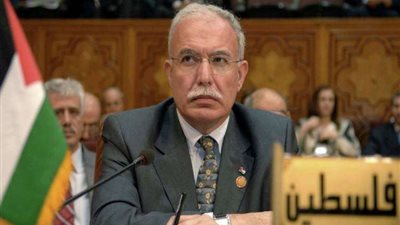 الخارجية الفلسطينية تطالب مجلس الأمن بإلزام إسرائيل بوقف جريمة 
