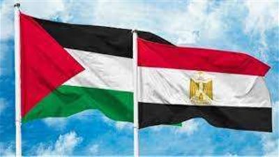 الجهود المصرية في القضية الفلسطينينة وتأمين عملية إعادة إعمار غزة.. فيديو