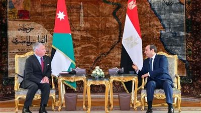 العاهل الأردني يزور القاهرة ويلتقي بالسيسي لبحث وقف العدوان الإسرائيلي على غزة