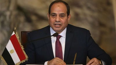 تأييد ودعم كامل من المنظمة المصرية لحقوق الإنسان والتنمية للسيسي حول إدارته لملف الأزمة الفلسطينية