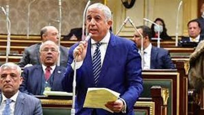 رئيس خارجية النواب بجلسة أحداث فلسطين: نقف خلف الرئيس السيسي لأن المؤامرة كبرى