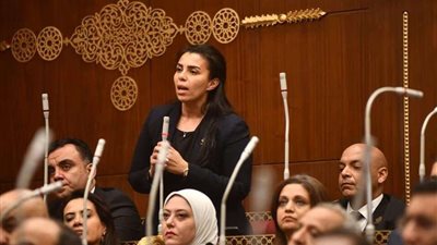 النائبة سها سعيد: نلتف خلف الرئيس ونفوضه لاتخاذ الإجراءات اللازمة لحماية الأمن القومي