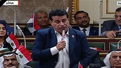 برلماني يُعلن تأييده ودعمه للرئيس السيسي في موقفه الداعم لفلسطين