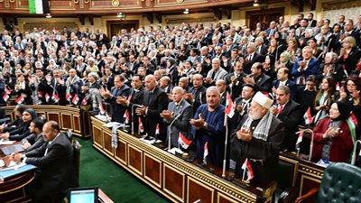 برلمانية :اعتداءات غاشمة من إسرائيل و انتهاكا لجميع المواثيق واتفاقيات حقوق الإنسان