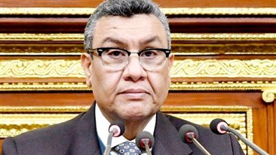 النائب مصطفي سالم: جرائم الاحتلال  ستستمر  إذا لم يتم اتخاذ موقف حاسم