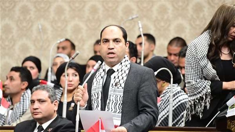 النائب النائب عمرو