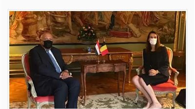 وزير الخارجية يبحث مع نظيرته البلجيكية تطورات ملف سد النهضة