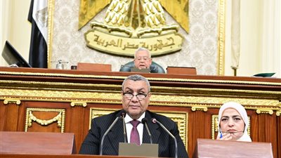 النائب مصطفى سالم: مصر لن تتخلى عن دورها في حماية الأرض ودعم الفلسطينيين