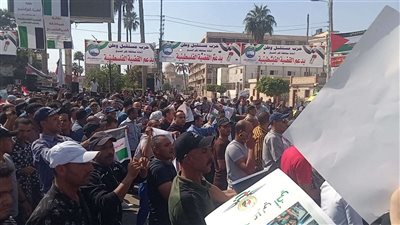 آلاف المواطنين يحتشدون بمحافظة كفر الشيخ تضامنا مع القضية الفلسطينية