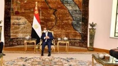 الرئيس السيسي يستقبل سعد الحريري ويؤكد دعم مصر لاستعادة الاستقرار في لبنان