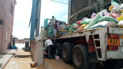 انتهاء موسم توريد القمح في الإسكندرية