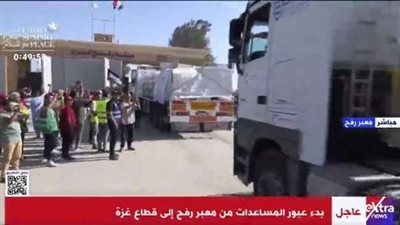 نجوم الفن في مصر يحتشدون لدعم وصول مساعدات في غزة