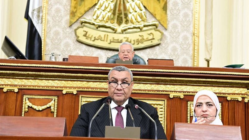 النائب مصطفى سالم