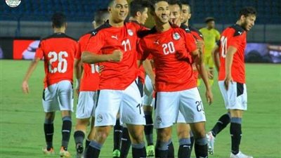 شريف العريان: لم يتم الاستقرار حتى الآن على اسم حامل علم مصر في أولمبياد طوكيو