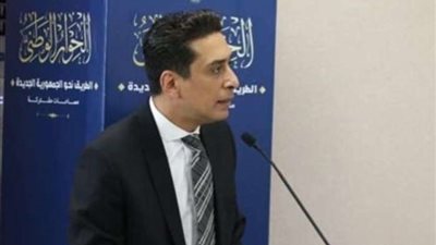 شادي العدل: لا غنى عن مصر ودورها في تحقيق السلام الشامل