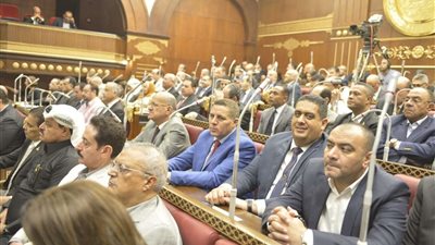 نواب الشيوخ يشيدون بكلمة السيسي بقمة 