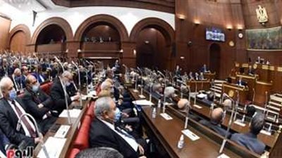 مجلس الشيوخ يناقش الجهود الرامية لتهدئة الأوضاع في غزة