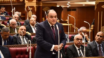 وزير الصناعة: سوق الأسمدة في مصر من القطاعات المهمة