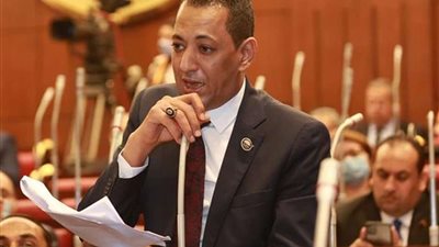 أسامة الهواري يطالب بتشريع يجرم تداول الأسمدة وغرامة مالية لردع السوق السوداء