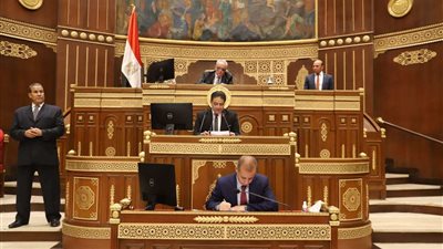 رئيس مجلس الشيوخ يرفع أعمال الجلسة العامة