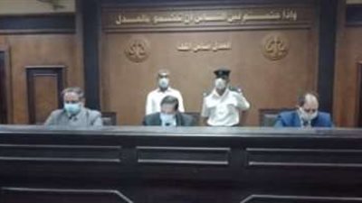 تأجيل محاكمة المتهمين في قضية مستريح الأدوات الصحية لـ 12 نوفمبر