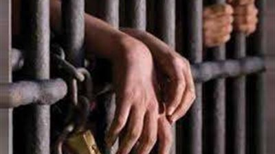 السجن 10 سنوات لمتهم باستعراض القوة في 15 مايو