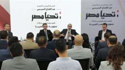 تحركات فعالة لحملة المرشح عبد الفتاح السيسي تضامنًا مع القضية الفلسطينية