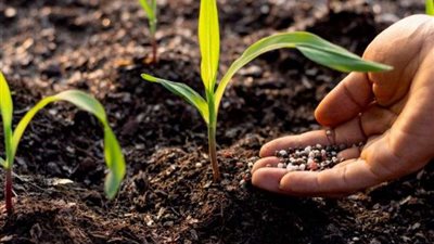 «الزراعة» تعلن توفير مستلزمات الإنتاج الزراعي للموسم الشتوي