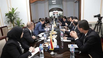 «التنسيقية» تستقبل سفير فلسطين بالقاهرة لبحث الجهود المشتركة لوقف مجازر الاحتلال وتطورات عملية إدخال المساعدات