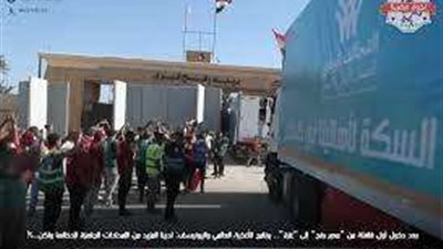 قوافل الإغاثة للتحالف الوطني تنجح في مواصلة إمداداتها لفلسطين بمعبر رفح