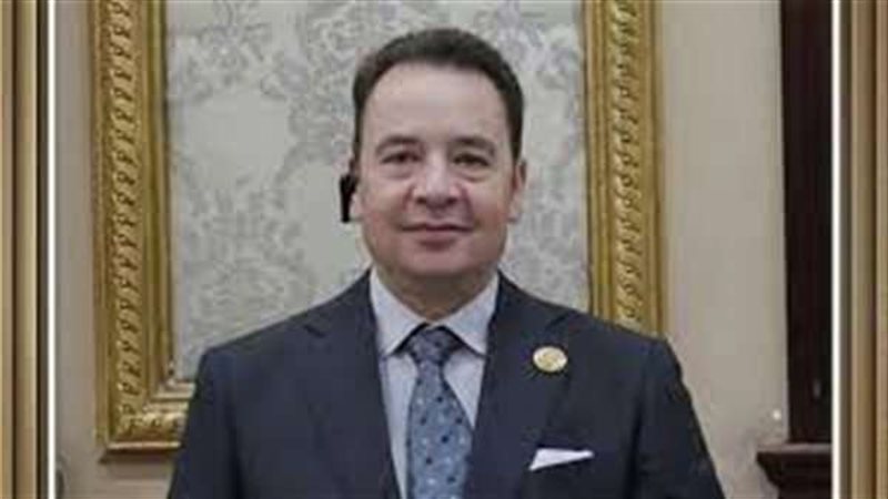 النائب إيهاب الهرميل