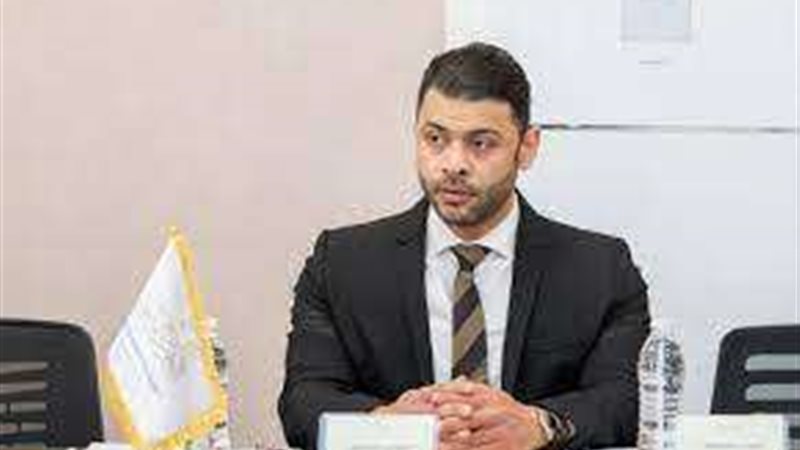 المهندس أحمد حلمى