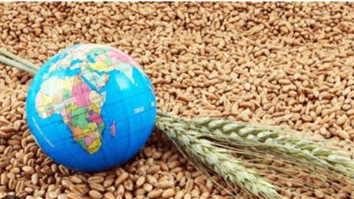 هل تؤثر الحرب الحالية على أسعار السلع الغذائية بالسوق المصري؟.. رواد الاقتصاد يوضحون